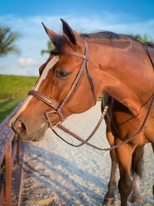 Beval Heritage Wide Caveson Bridle