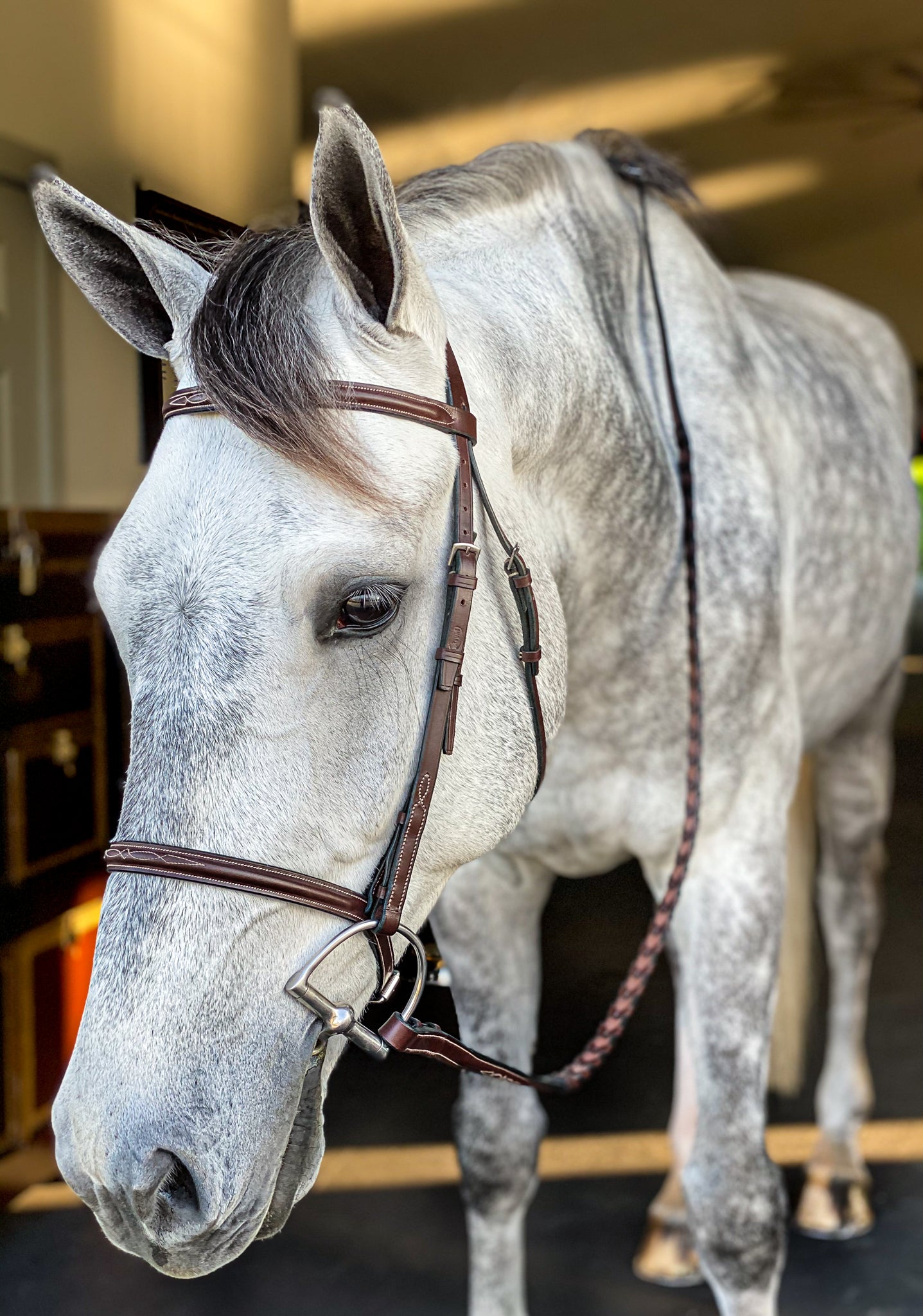 Beval Heritage Fancy Stitch Bridle