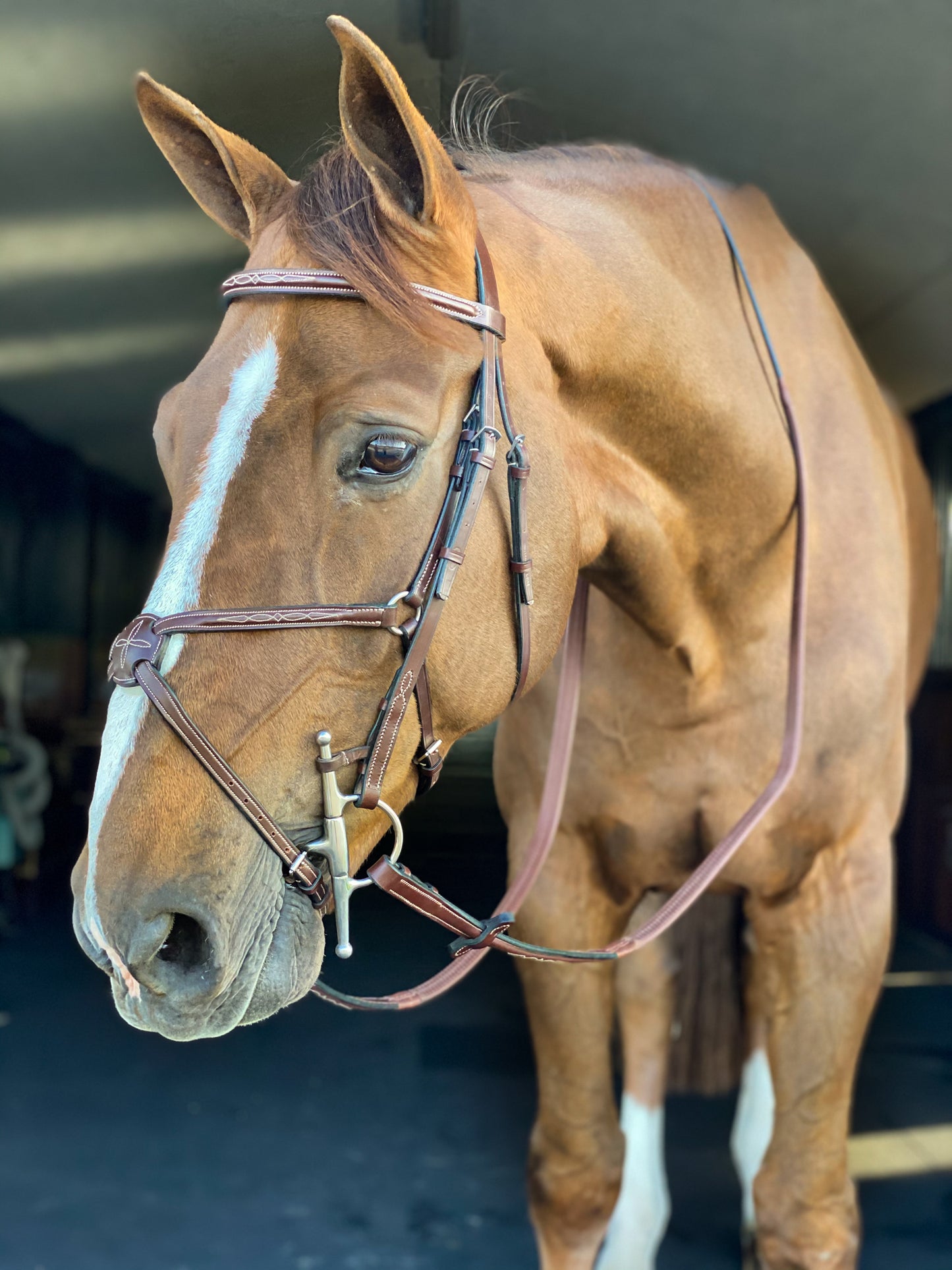 Beval Heritage Figure Eight Fancy Stitch Bridle