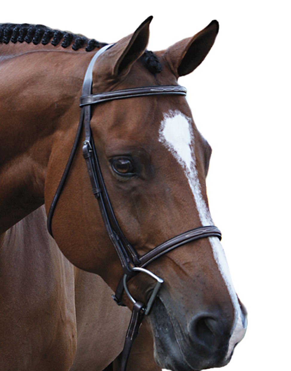 Beval Gladstone Fancy Stitch Browband