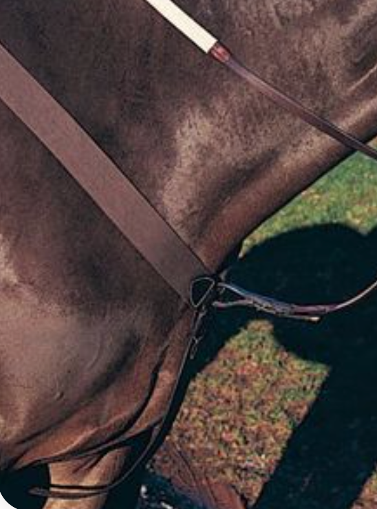 Beval Gladstone Elastic Yoke With Running Attachment