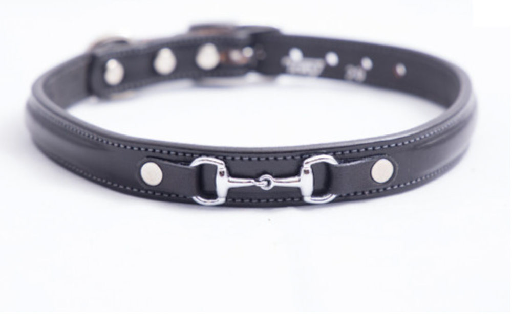 Tory Leather Raised Dog Collar with Brass Bit