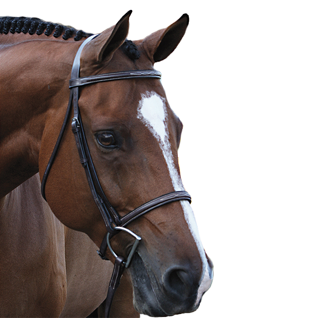 Beval Gladstone Fancy Stitch Bridle