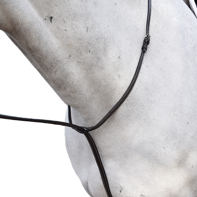 Beval Gladstone Raised Standing Martingale