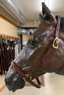 Beval Grooming Halter
