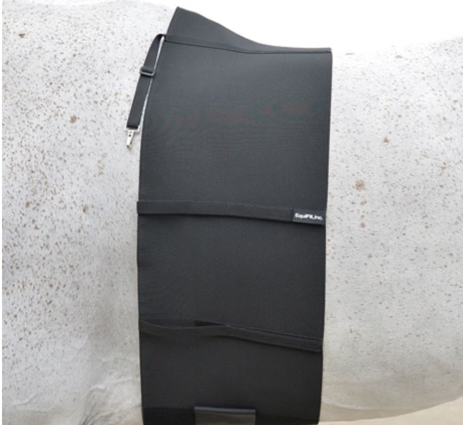 EQUIFIT Belly Band