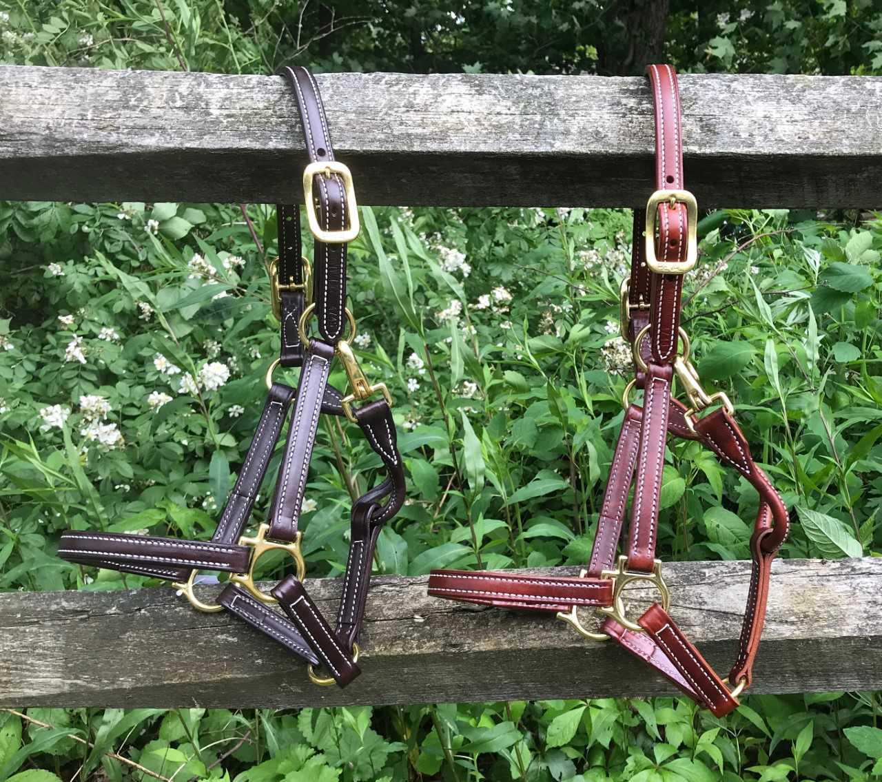 Beval Ltd Showman Halter
