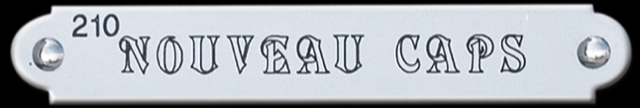 Saddle Plates