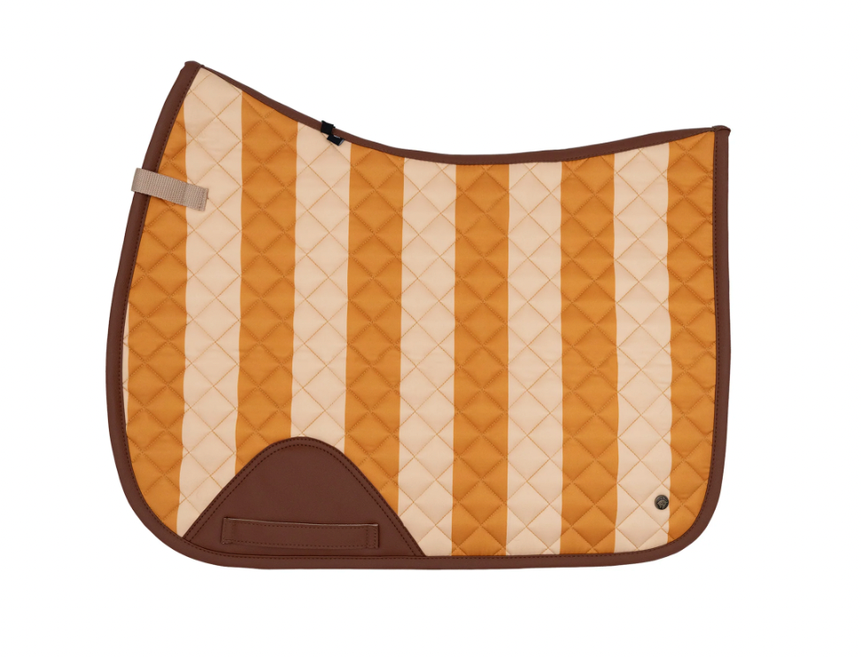 Sixteen Cypress Jumper Pad – Beval Saddlery
