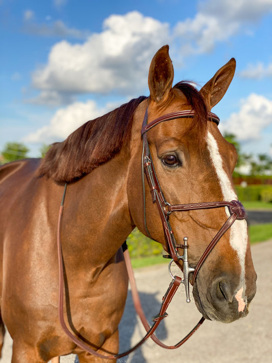Beval Heritage Fancy Stitch Raised Rubber Reins