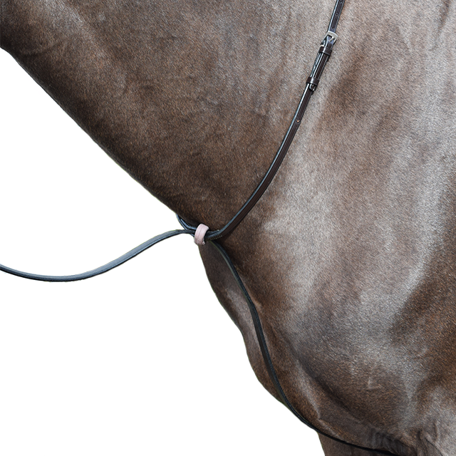 Gladstone Flat Standing Martingale – Beval Saddlery