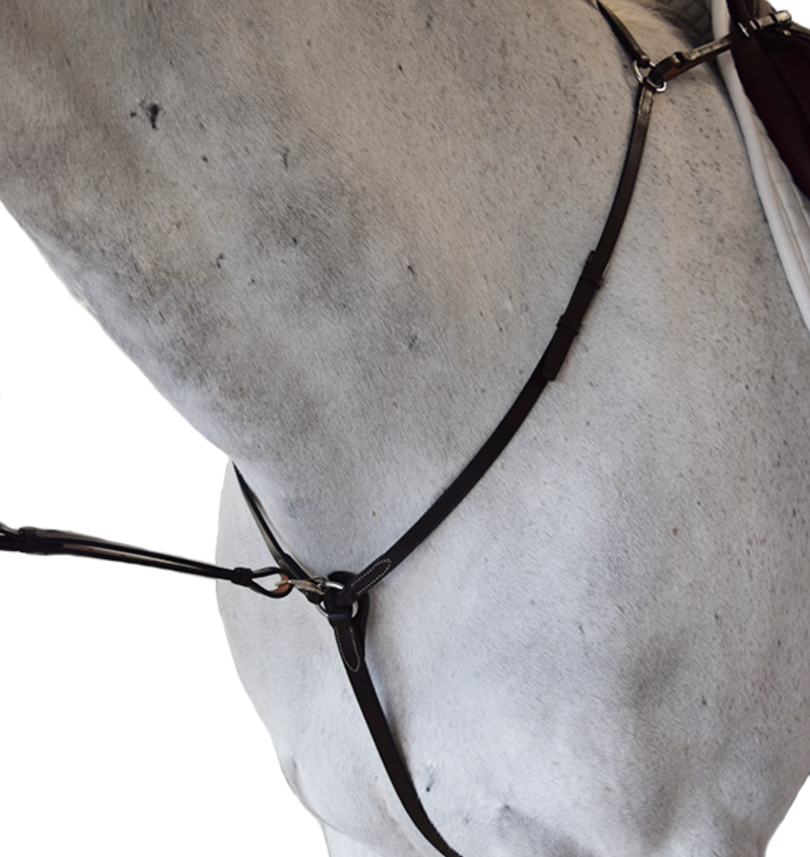 Gladstone Flat Standing Adjustable Breastplate – Beval Saddlery