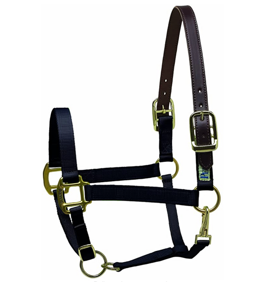 Perri's Premium Nylon Safety Halter