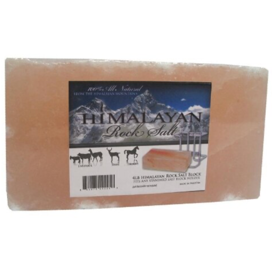 Himalayan Salt Block