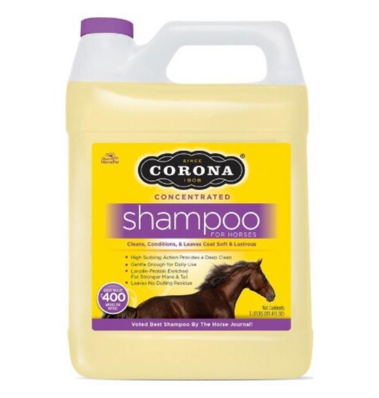 Corona Concentrate Shampoo