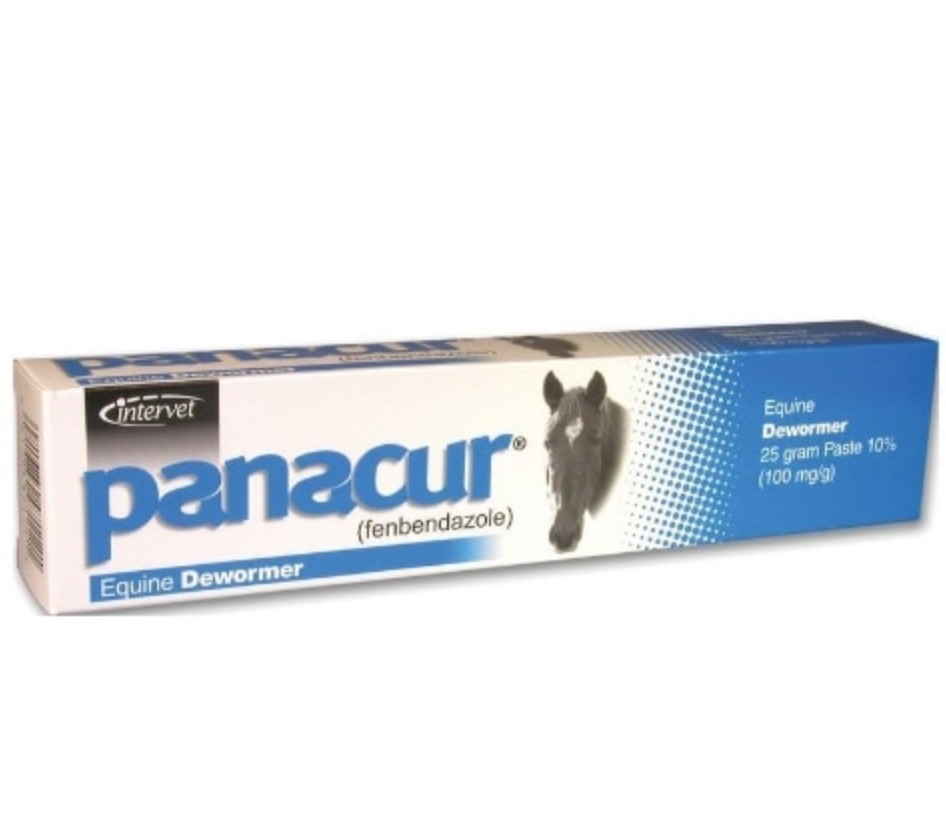 Panacur Paste Equine Dewormer Tube