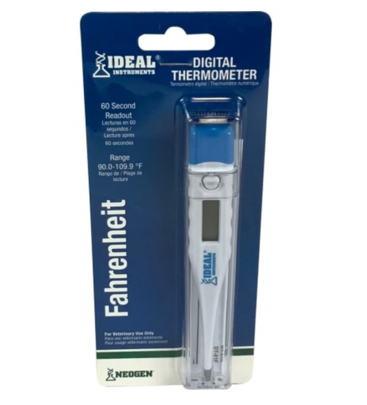 Digital Thermometer With Plastic Case
