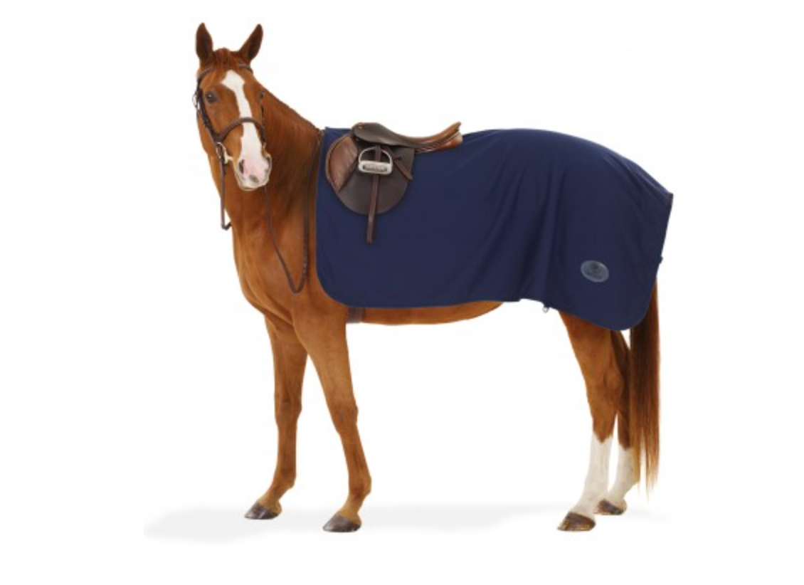 Centaur Turbo-Dry Exercise Sheet – Beval Saddlery
