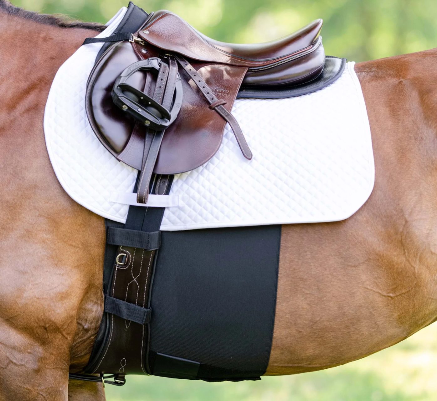 Equifit Belly Band +