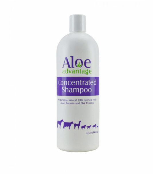Aloe Advantage Concentrated Shampoo 32oz.