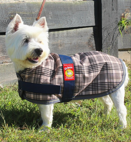 Baker 5A Dog Blanket