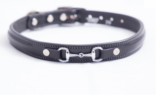 Tory Leather Raised Dog Collar with Brass Bit