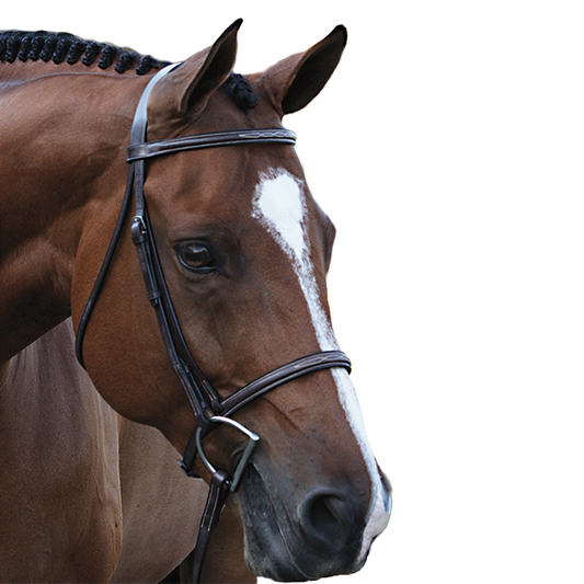 Beval Gladstone Fancy Stitch Bridle