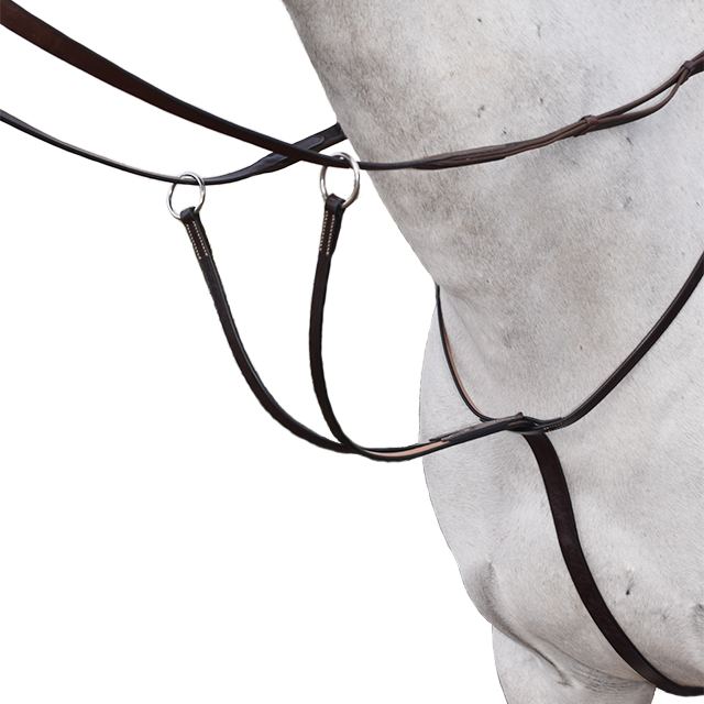 Gladstone Flat Running Martingale – Beval Saddlery