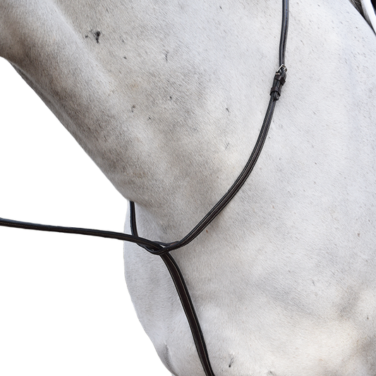 Beval Gladstone Raised Standing Martingale